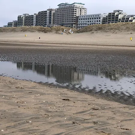 4 Person At Beach, Sea, Dunes, Lake, Forestside Нордвейкерхаут