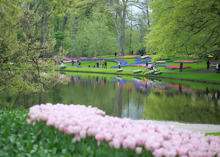 4 Person At Beach, Sea, Dunes, Lake, Forestside Tatil Evi Noordwijkerhout