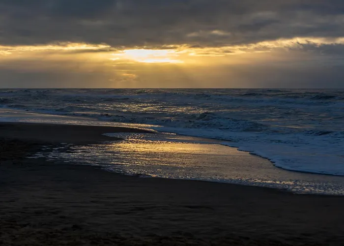 4 Person At Beach, Sea, Dunes, Lake, Forestside Tatil Evi Noordwijkerhout