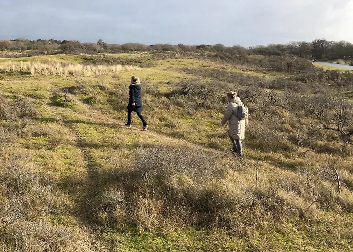 4 Person At Beach, Sea, Dunes, Lake, Forestside *