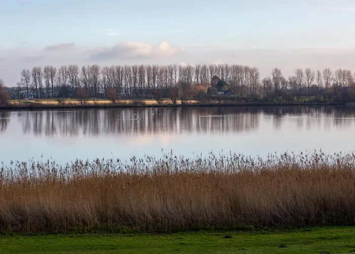 4 Person At Beach, Sea, Dunes, Lake, Forestside