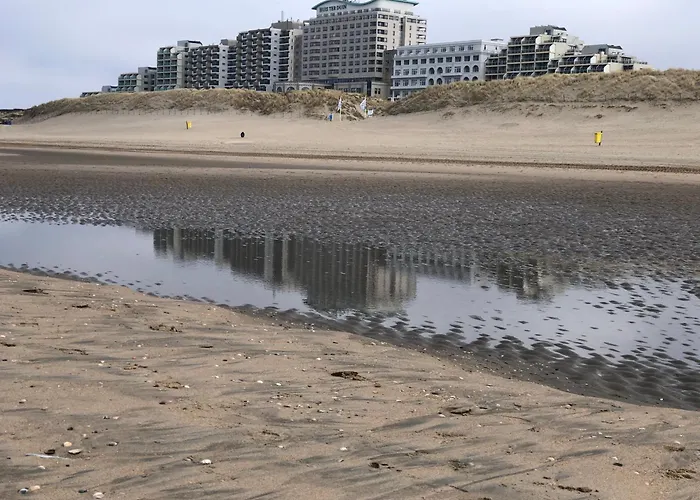 4 Person At Beach, Sea, Dunes, Lake, Forestside Noordwijkerhout