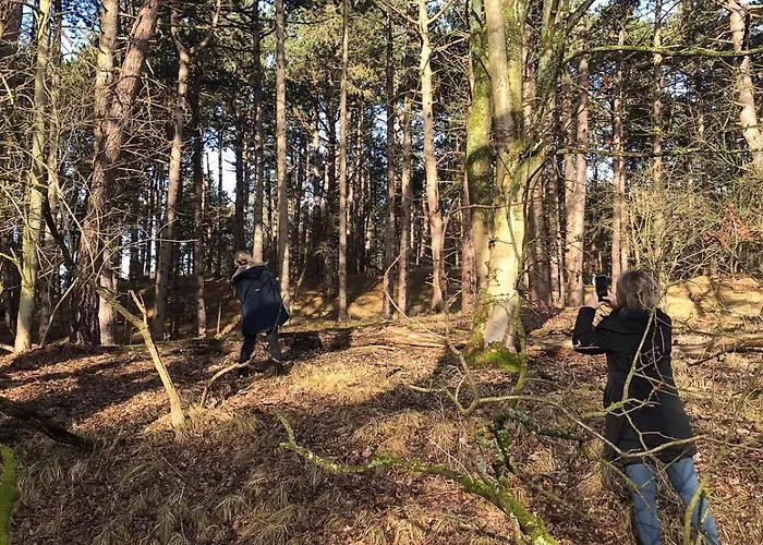 4 Person At Beach, Sea, Dunes, Lake, Forestside Tatil Evi