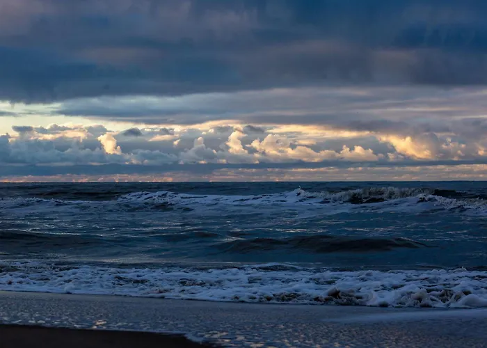 Tatil Evi 4 Person At Beach, Sea, Dunes, Lake, Forestside *