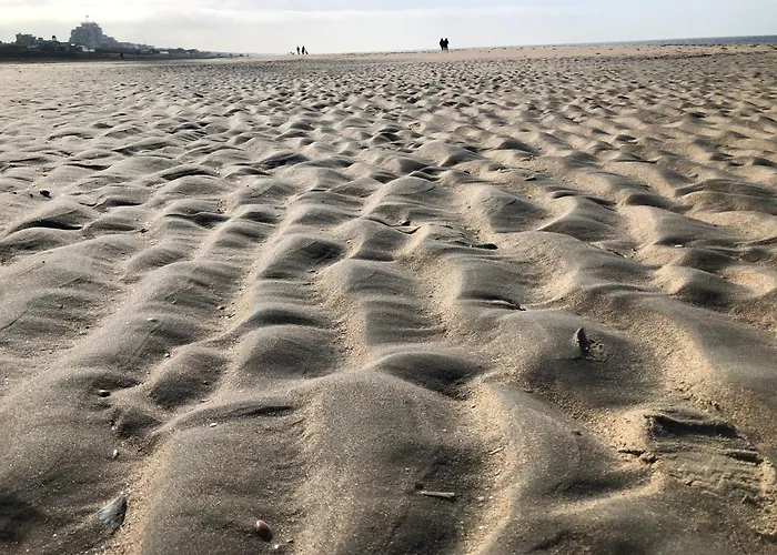 4 Person At Beach, Sea, Dunes, Lake, Forestside Noordwijkerhout
