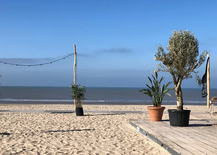 4 Person At Beach, Sea, Dunes, Lake, Forestside Holiday home