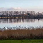 4 Person At Beach, Sea, Dunes, Lake, Forestside