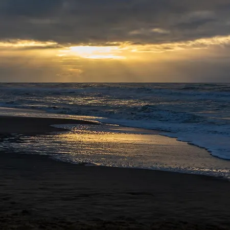 4 Person At Beach, Sea, Dunes, Lake, Forestside Semesterbostad Noordwijkerhout