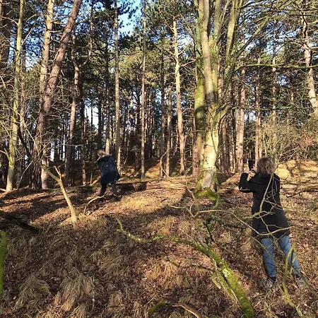 4 Person At Beach, Sea, Dunes, Lake, Forestside Semesterbostad