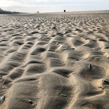 4 Person At Beach, Sea, Dunes, Lake, Forestside 노르트바이커하우트